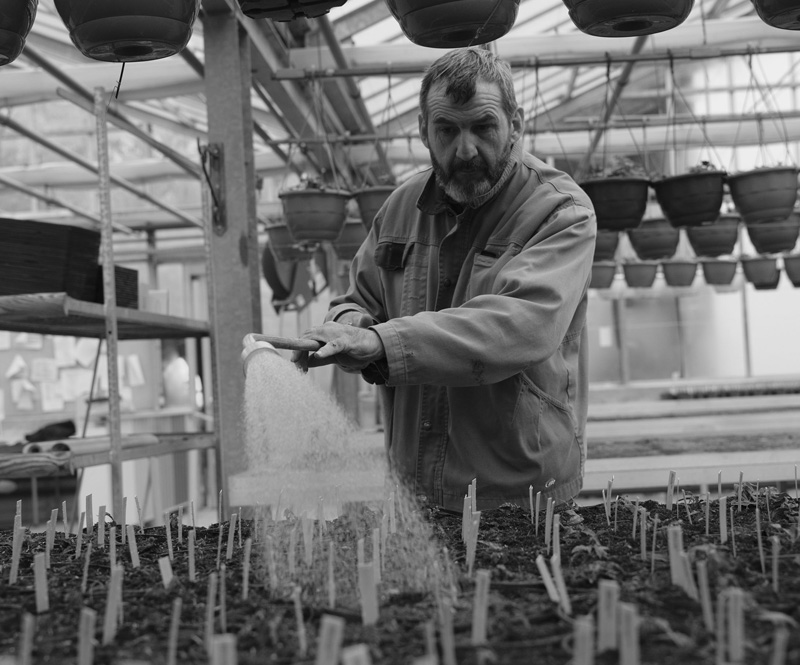 Travaillleur de l'esat en horticulture